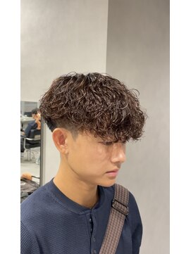 ササ(33) 波巻きプードル