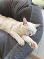 グランドハーツ ヘアーアンドリラクゼーション(Grand Hearts)&nbsp;いつか飼えたらいいな。。
