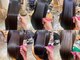 ティーク(TEAK)の写真
