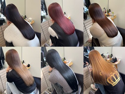 カシビ(kashibi)の写真