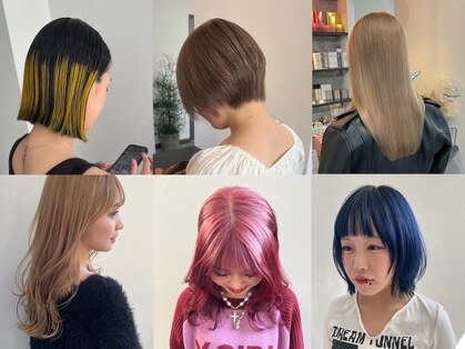 ログ(LOG)の写真