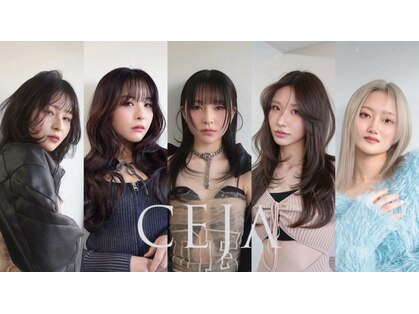 セーハ(CEJA)の写真