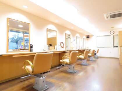 ハーフ(HALF)の写真