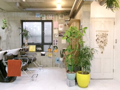 スイ(.SUI)の写真
