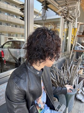 マウナロア(MAUNA LOA) men's wolfperm