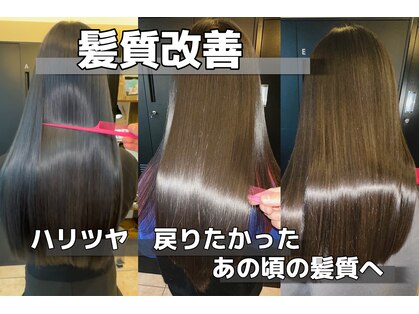 オリノ(olino)の写真