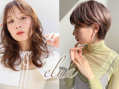 ナイアン エルア(naian elua)の写真