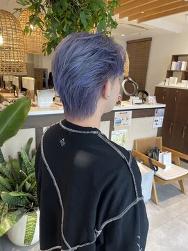 コスタエストオブリシェール(COSTA EST of RICHAIR) パープルシルバーカラー