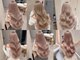 エンネ 新宿(enne)の写真