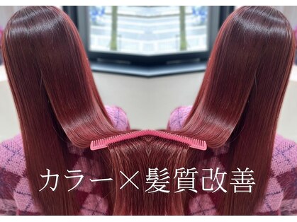 ダリア 横浜(DALIA)の写真