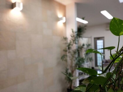 ヘアー エステ テゾロ hair esthe Tezoroの写真