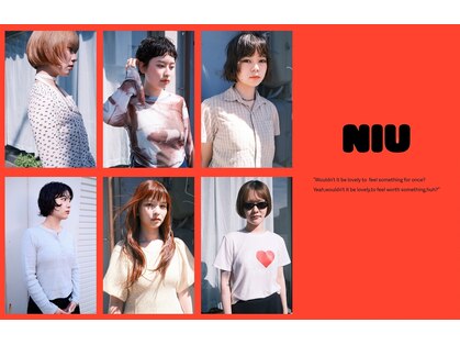 ニウ(NIU)の写真