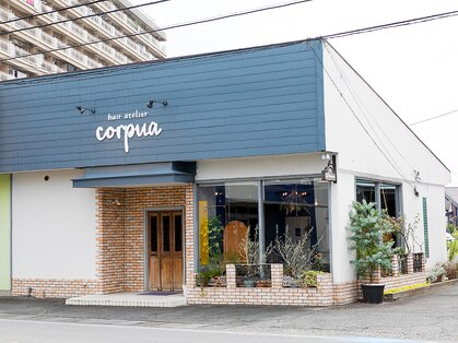 コルプア(corpua)の写真