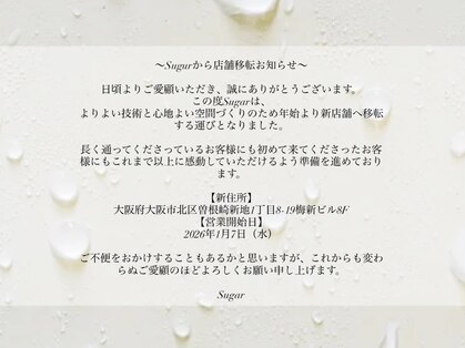 シュガー(Sugar)の写真