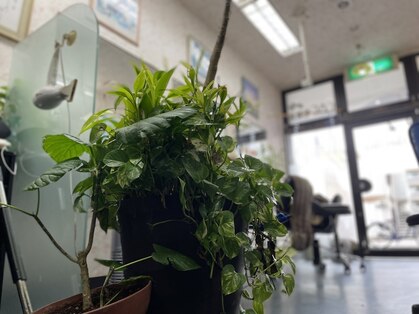 ハッピーハウス(HAPPY HOUSE)の写真