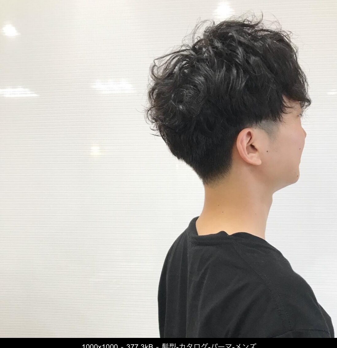 キッズカット(シャンプー別＋５５０)    ￥３０００