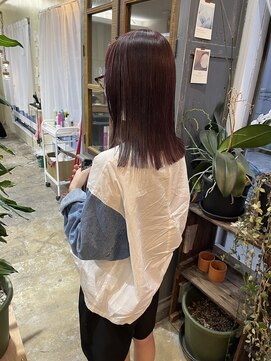 ニコヘアー(niko hair) red purple