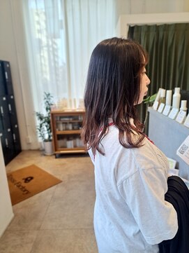 トイズファクトリー(Toys Factory) グラデーションカラー