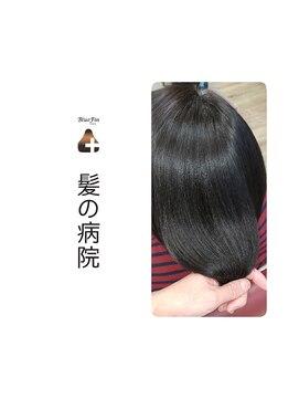 ブルーフィン シセロ(Blue Fin cicero) お悩みから導き出す最善のケア方法/髪質改善