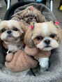 リル 茅ヶ崎(Liru:) 犬が大好きです!!愛犬家の方ぜひ沢山語りましょう♪