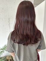 リベッタ(Ribetta)&nbsp;レッドブラウン