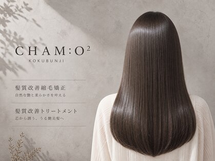 シャムオーツー 国分寺(CHAM:O2)の写真