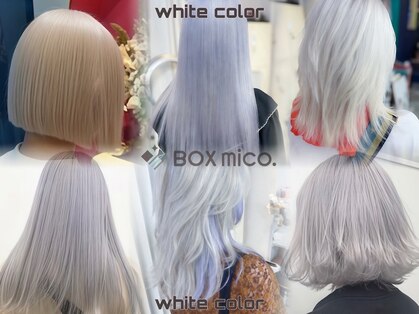 ボックスミコ(Box mico.)の写真