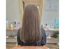 フィカス(Ficus)