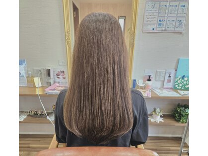 フィカス(Ficus)の写真