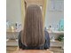 フィカス(Ficus)の写真