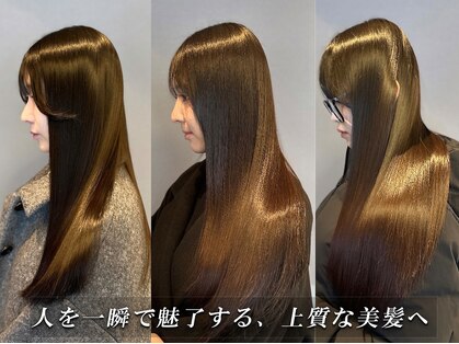 シンカ(shinka)の写真