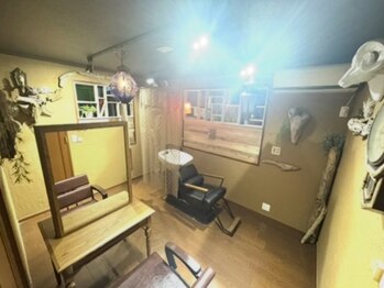 シグラ エ アログドットワイ(SIGRA et alog.y)の写真/植物由来の成分や、オーガニックの商品を中心に髪や頭皮に優しい材料を使って自髪力を高めます。