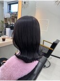lavender greige【ALEAP parrot/sayaka】