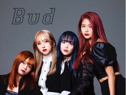 バド(Bud)の写真