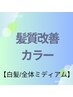 【白髪/全体ミディアム】髪質改善カラー