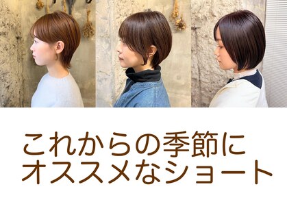 ペダル(PEDAL)の写真