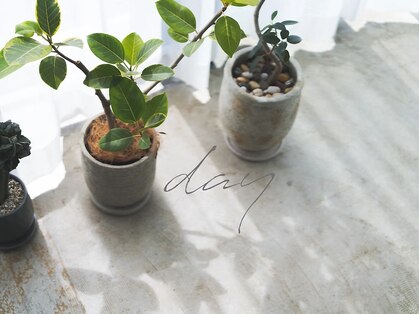 デイ(day)の写真