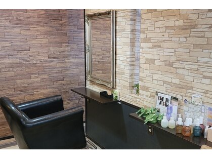 ホワイトバーチ(white birch)の写真