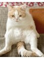 アンドチル 渋谷(AND CHILL)&nbsp;我が家の触れる天使こと、ちくわさん♪たまにブログに登場します
