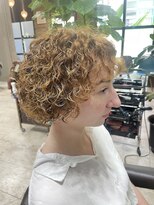 エルテ(ERTE)&nbsp;プードルヘアー