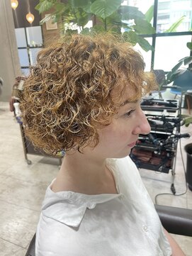 エルテ(ERTE) プードルヘアー