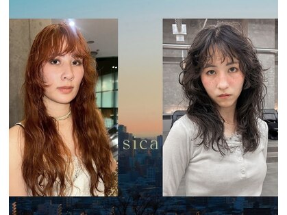 シカ(sica)の写真