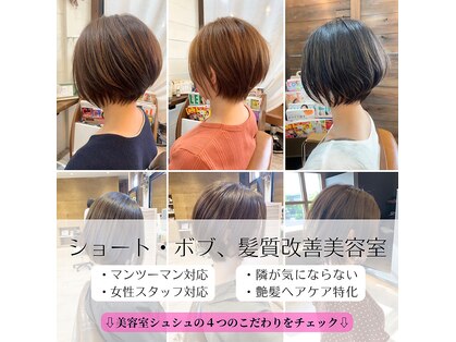 シュシュ(CHOU CHOU)の写真