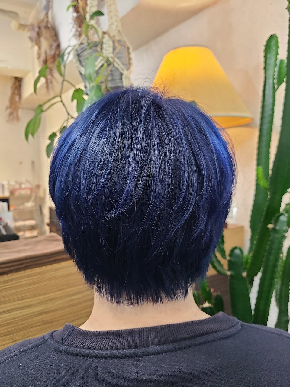 ブルーブラックマッシュ：L202561885｜カラーズ(THE COLORS)のヘア