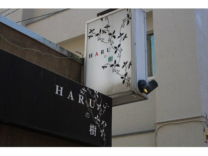 ハルの樹(HARUの樹)の写真