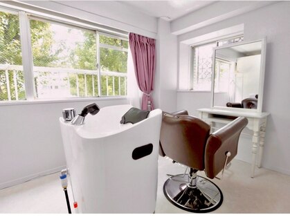 グリシーヌ(Glycine)の写真