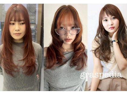 グラスペディア(graspedia)の写真