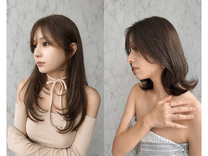 リビス(ribis)の写真