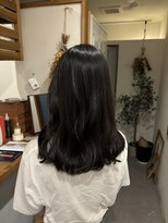 地毛風カラー