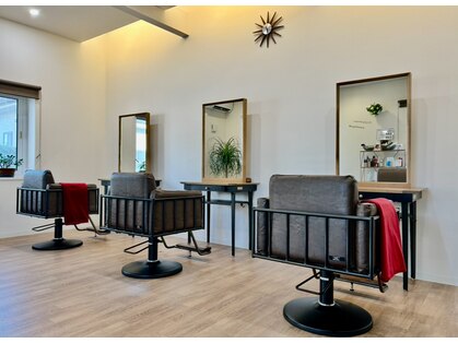 パーム(Palm)の写真